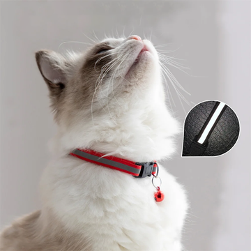 Reflective Adjustable Cat & Small Dog Collars with Bells