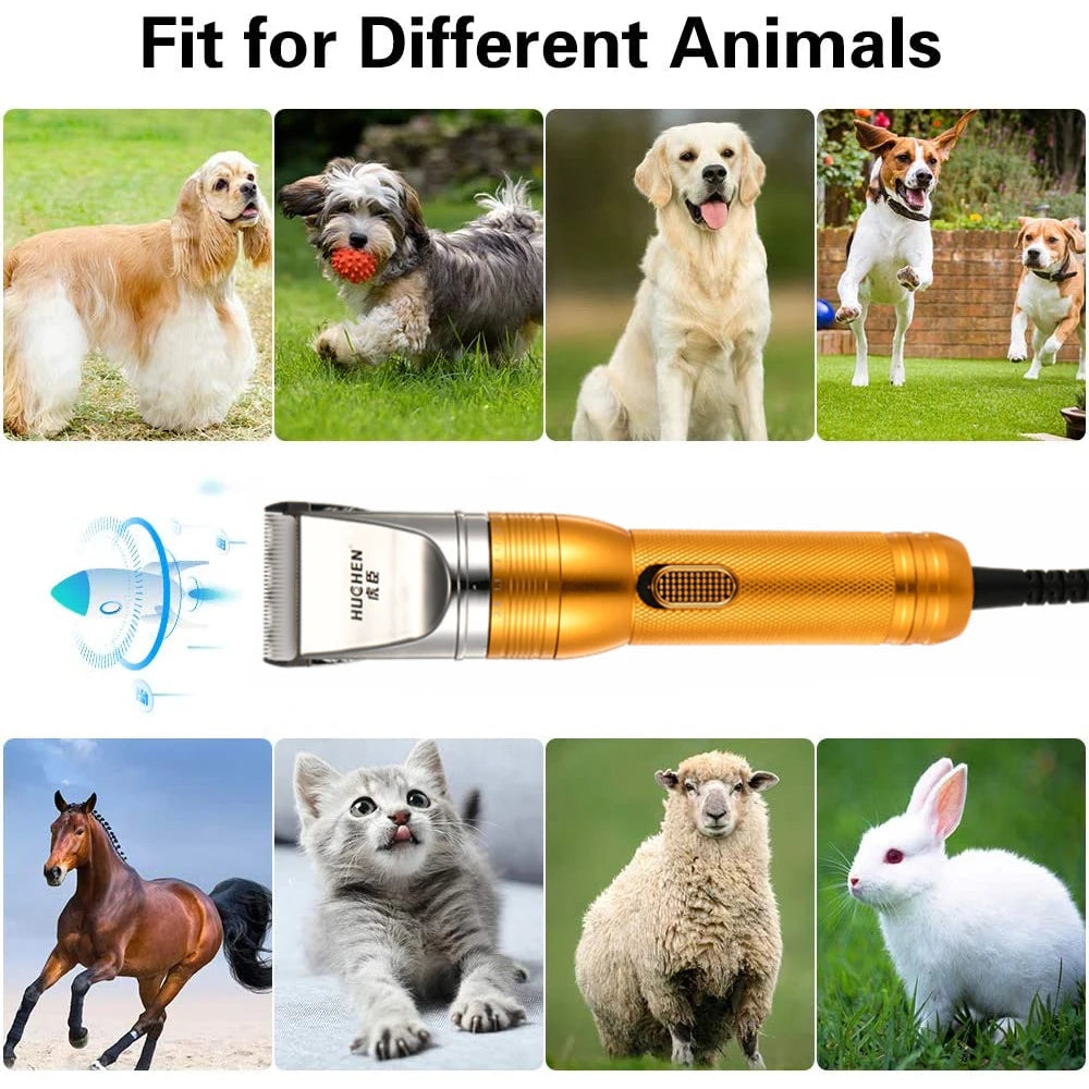 380W 12V Cordless Pet Hair Trimmer